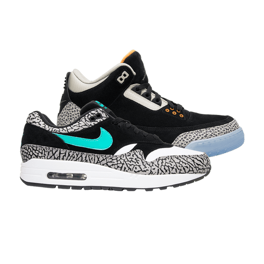 Air Jordan 3 Retro & Nike Air Max 1 atmos Pack