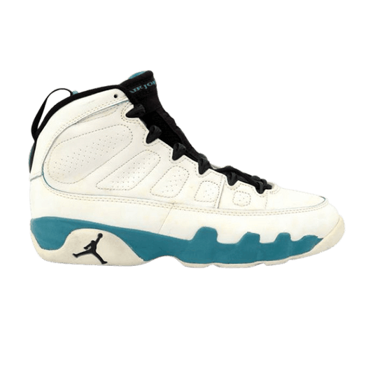 Air Jordan 9 OG Powder Blue (1993)