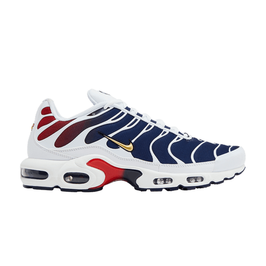 Nike Air Max Plus PSG