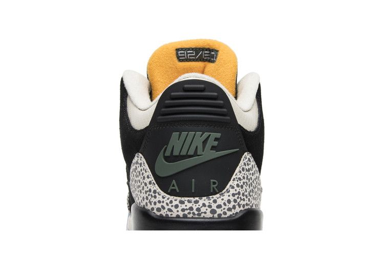 Air Jordan 3 Retro & Nike Air Max 1 atmos Pack