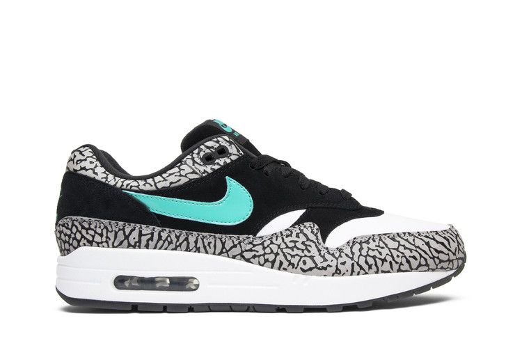 Air Jordan 3 Retro & Nike Air Max 1 atmos Pack