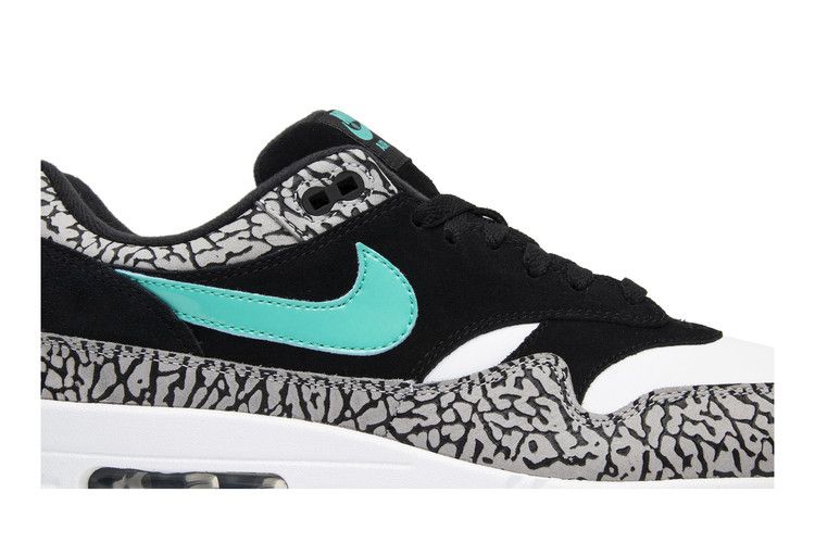 Air Jordan 3 Retro & Nike Air Max 1 atmos Pack