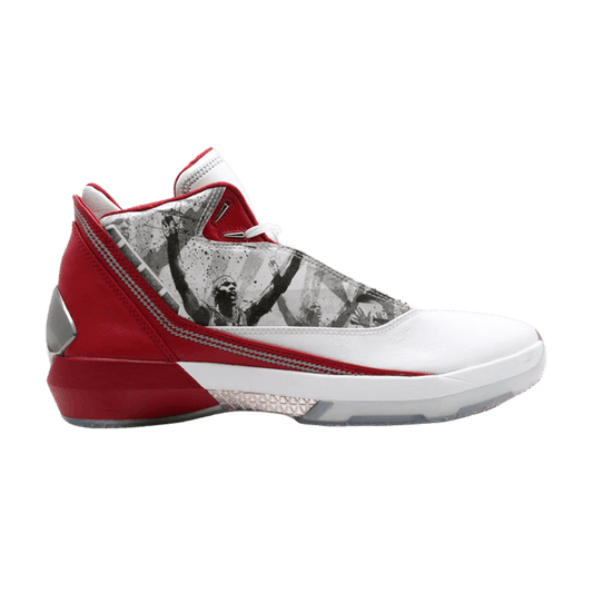 Air Jordan 22 OG Omega