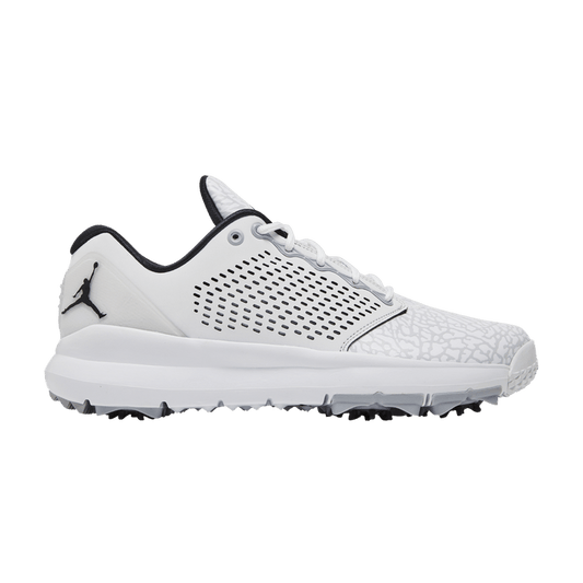 Air Jordan Trainer ST G White Wolf Grey