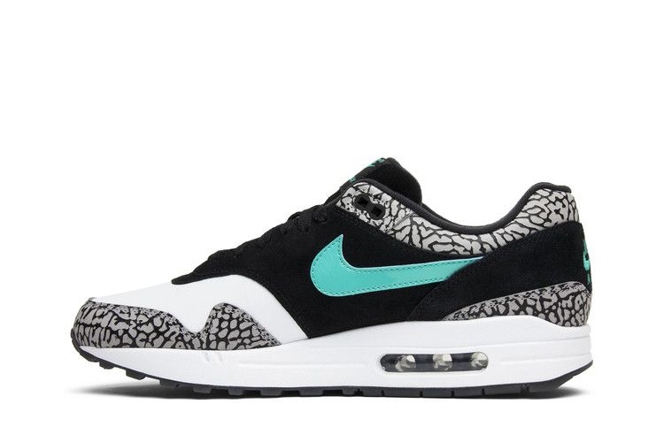 Air Jordan 3 Retro & Nike Air Max 1 atmos Pack