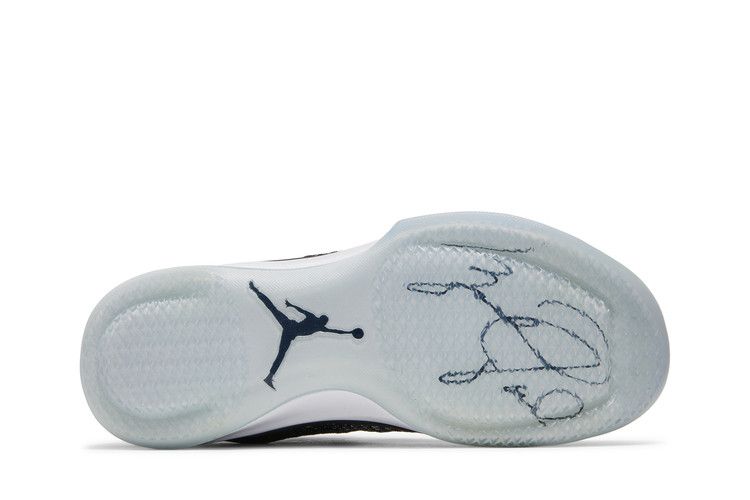 Air Jordan XXX1 Fine Print