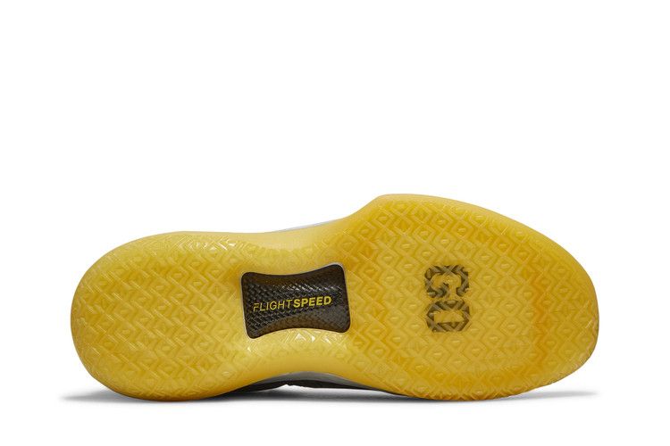 Air Jordan XXXII Low Michigan