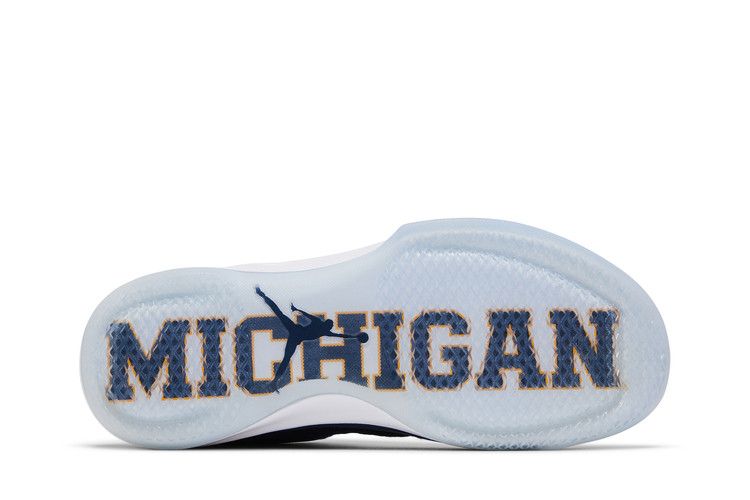 Air Jordan XXX1 Low Michigan