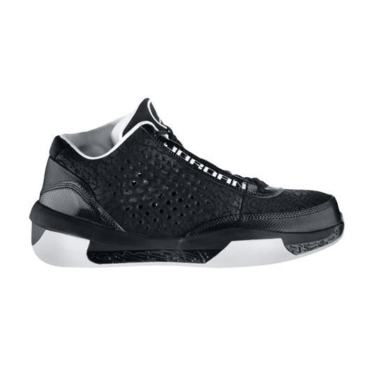 Air Jordan 2010 Team Black White