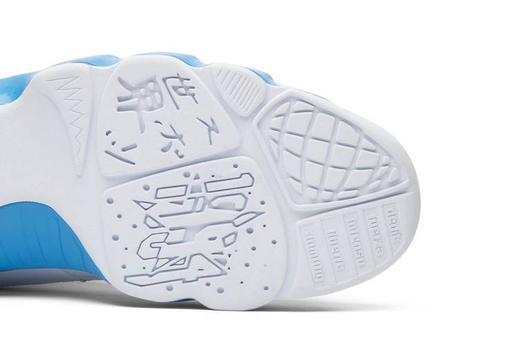 Air Jordan 9 Retro Powder (2010)
