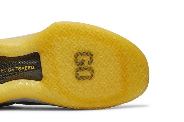 Air Jordan XXXII Low Michigan