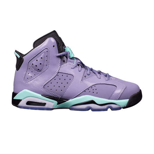 Air Jordan 6 Retro Iron Purple (GS)