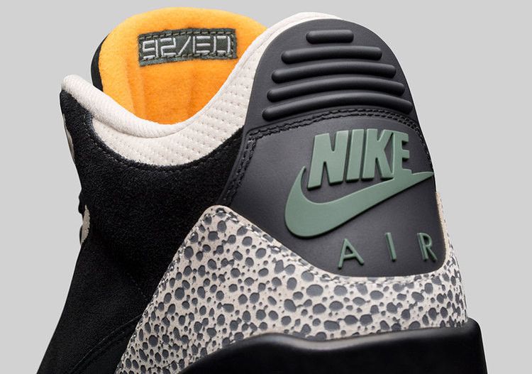 Air Jordan 3 Retro atmos