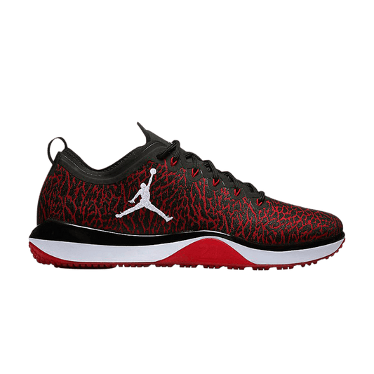 Air Jordan Trainer 1 Low Banned