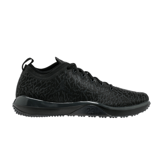 Air Jordan Trainer 1 Low Black/Black-Anthracite