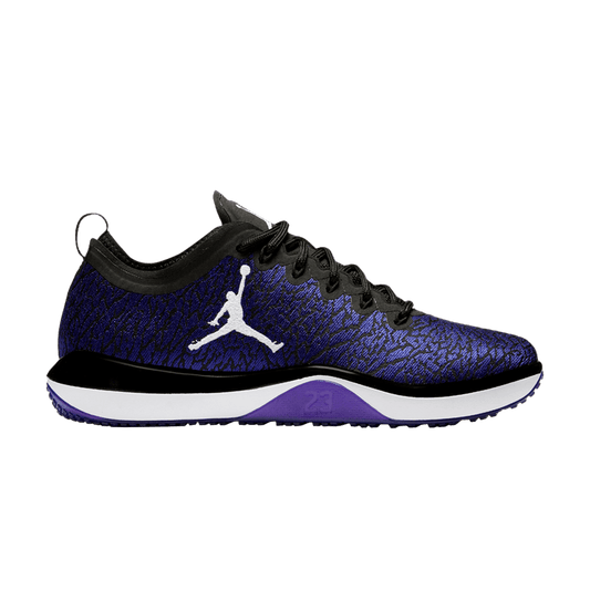 Air Jordan Trainer 1 Low Concord