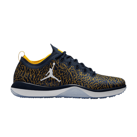 Air Jordan Trainer 1 Low Michigan