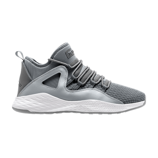 Air Jordan Formula 23 Cool Grey