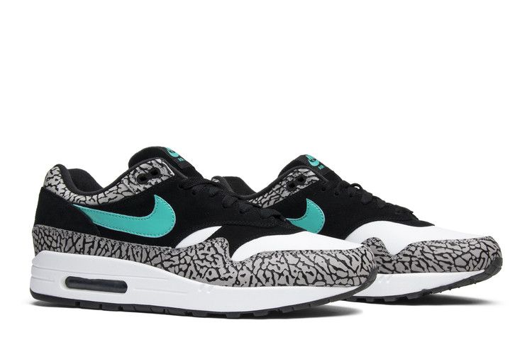 Air Jordan 3 Retro & Nike Air Max 1 atmos Pack