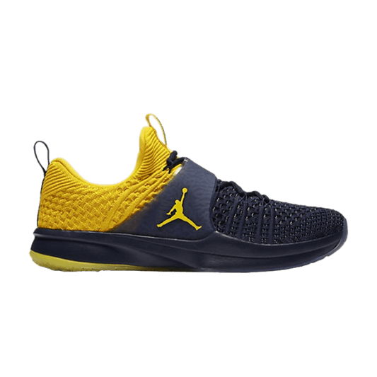 Air Jordan Trainer 2 Flyknit Michigan