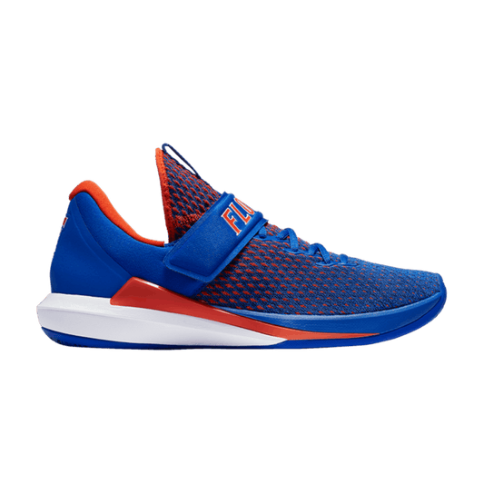 Air Jordan Trainer 3 Florida Gators