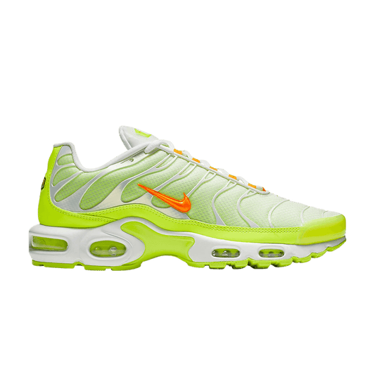 Nike Air Max Plus Color Flip Pack Grape