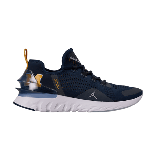 Air Jordan React Havoc Michigan