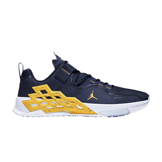 Air Jordan Alpha 360 TR Michigan